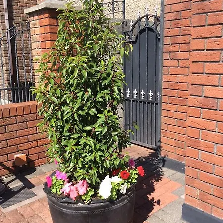 Westwinds Guestlodge Galway