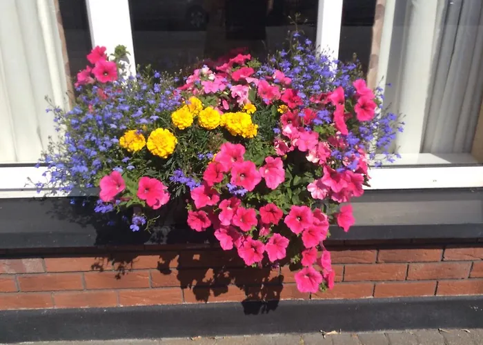 Westwinds Guestlodge 3* Galway