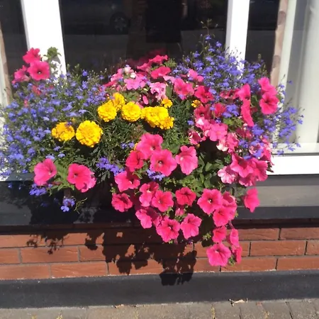 Westwinds Guestlodge 3* Galway